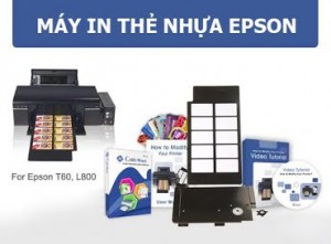 may-in-the-nhua-t60