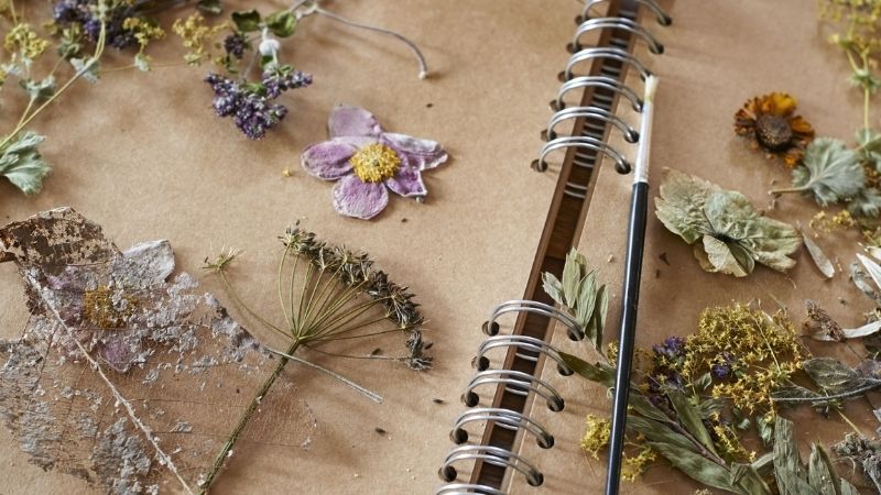 Hướng dẫn Trang trí sổ tay bằng hoa khô – Giải pháp để tận dụng hoa sau những ngày lễ , hội tránh gây lãng phí
